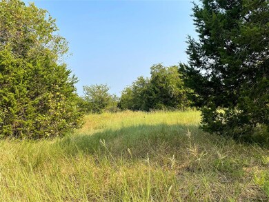 5400 Old Dennis Rd, Weatherford, TX 76087 - photo 4