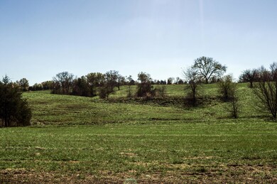 DSC_0004 (1)
