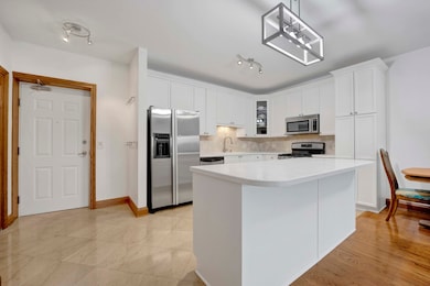 145 S York St unit 322, Elmhurst, IL 60126 - photo 7