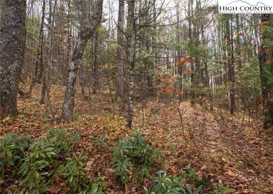 Great building location tucked in the woods with v