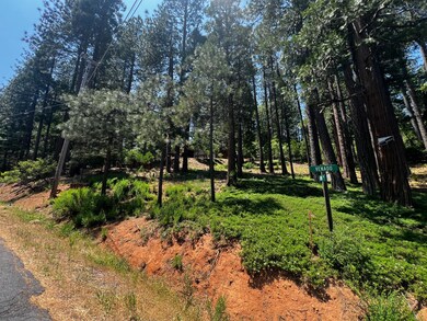 2904 Venado Dr, Arnold, CA 95223 - photo 6