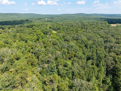 TBD Mountain Rd, Rudy, AR 72952 - photo 4