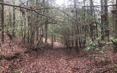 0 Satsuma Ct 672 673, Ellijay, GA 30540 - photo 4