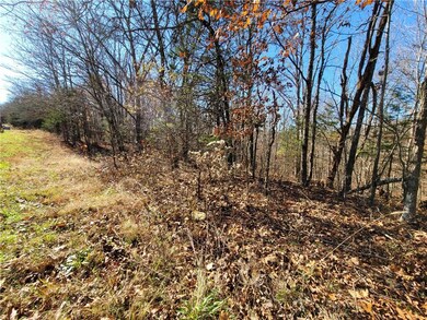 8 Acres Devils Den Rd, Winslow, AR 72959 - photo 4