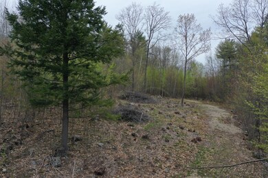 Ground level