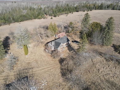 14246 County Road 441, Posen, MI 49776 - photo 5