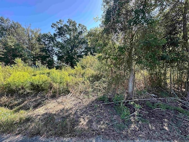 .31 Acres Rod Anderson Rd, St. Amant, LA 70774 - photo 4