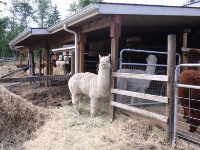 17923 52nd Ave NW, Stanwood, WA 98292 - photo 4