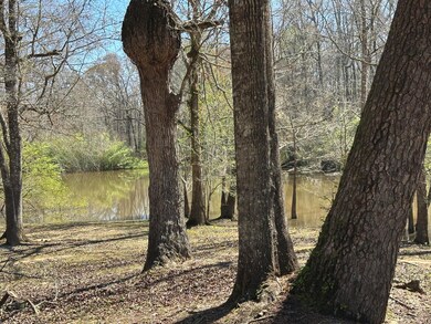IMG_8393