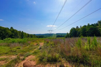 1560 Meansville Rd, Union, SC 29379 - photo 7