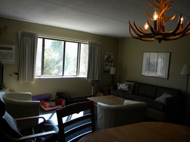 23 Black Bear Way unit 412, Waterville Valley, NH 03215 - photo 5