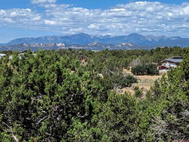 Lot 23 Farraday Rd, Durango, CO 81303 - photo 5