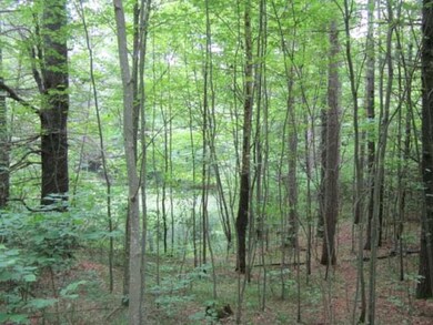 ON McCarthy Lake Rd, Tomahawk, WI 54487 - photo 4