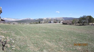 23019 Frost Rd, Cedaredge, CO 81413 - photo 5