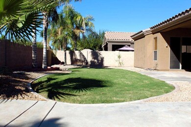 Grassy Backyard
