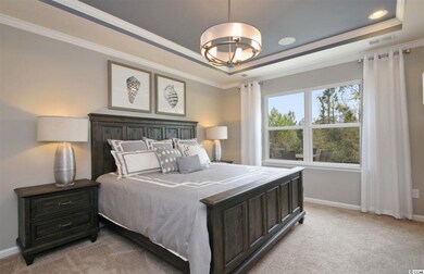 301 Climbing Vine Ct unit Compton LC2H Lot 009, Myrtle Beach, SC 29526 - photo 5