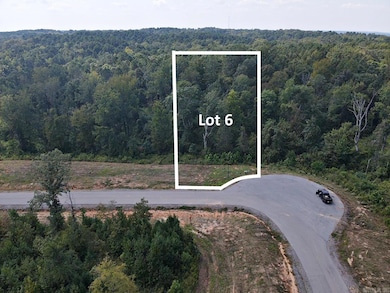 121 Shepherd Loop Dr, Arkadelphia, AR 71923 - photo 3