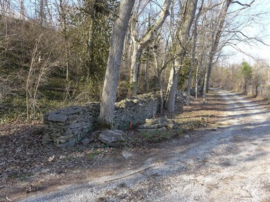 2 S Scruggs, Frankfort, KY 40601 - photo 3