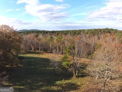 0 Prior Station Rd unit TRACT 1 10612520, Cedartown, GA 30125 - photo 3