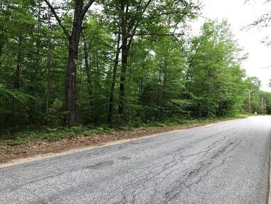 35acres Freemont & Bridgton Roads, Baldwin, ME 04024 - photo 5