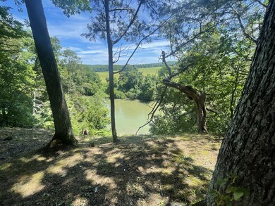 601 Whitaker Bend Rd, Linden, TN 37096 - photo 5