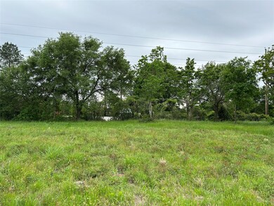 31002 Rochen Rd, Waller, TX 77484 - photo 5
