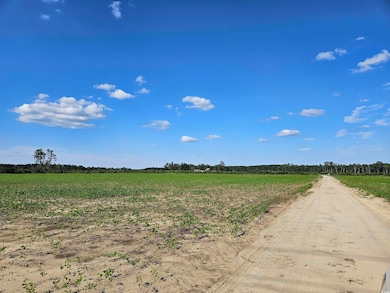 View of dirt / gravel road with a rural view and agricultural plots