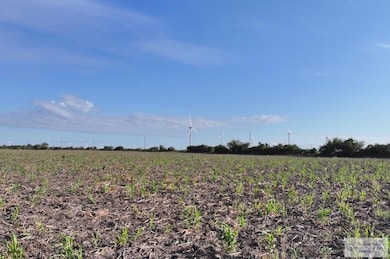 TBD Glenview Rd unit 2, Rio Hondo, TX 78583 - photo 6