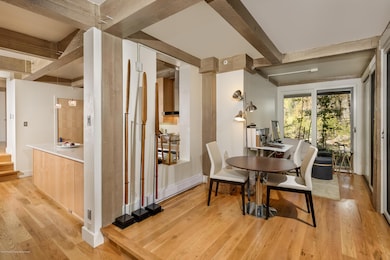 1034 E Cooper Ave unit 24A, Aspen, CO 81611 - photo 7