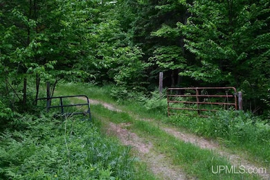 TBD Mud Lake Rd, Lake Linden, MI 49945 - photo 5