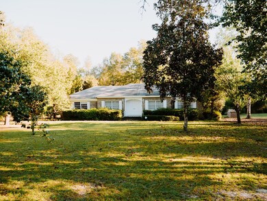 222 Old Ailey Lothair Rd, Mount Vernon, GA 30445 - photo 4