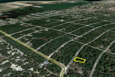 209 Sunnyside Dr, Lake Placid, FL 33852 - photo 5