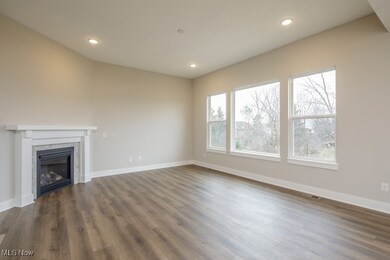 3711 Overlook Ct, Akron, OH 44321 - photo 6