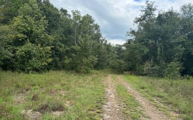 27210 41st Rd, Branford, FL 32008 - photo 2