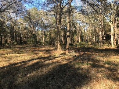 0000 Roberts Cemetery Rd, Hockley, TX 77447 - photo 4