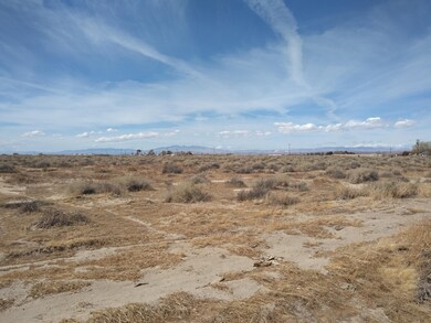 0 105th St East Vic Ave E10 unit 21002404, Lancaster, CA 93535 - photo 4