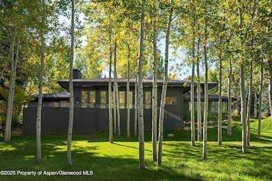 1220 Red Butte Dr, Aspen, CO 81611 - photo 5