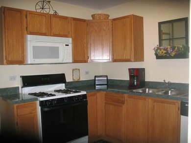 1852 Festival Ct, Joliet, IL 60435 - photo 6