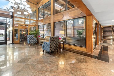 Mystic River Park Condominiums East unit 303, Medford, MA 02155 - photo 3