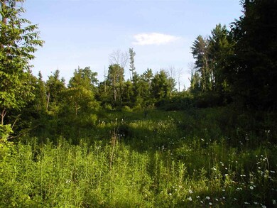 0 Leeds-Athens Rd unit 201612548, Athens, NY 12015 - photo 3