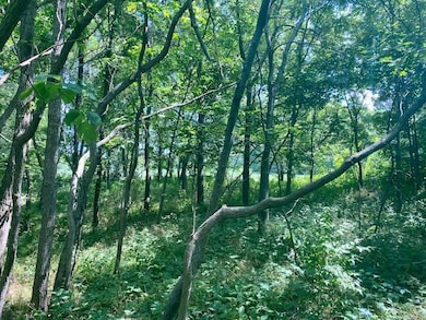 S SD State Route 103, Rushville, IL 62681 - photo 3