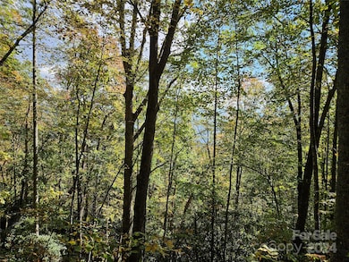 9999 Barn Cove Rd, Clyde, NC 28721 - photo 4