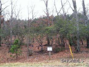 1926 White Tree Trail unit 203, Arden, NC 28704 - photo 3