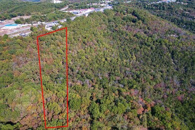 Tbd 3 69 Acres Business 13, Branson West, MO 65737 - photo 4