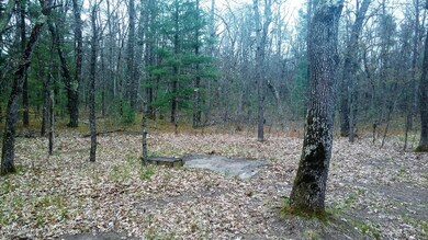 3138 S Woodin Dr, Baldwin, MI 49304 - photo 5