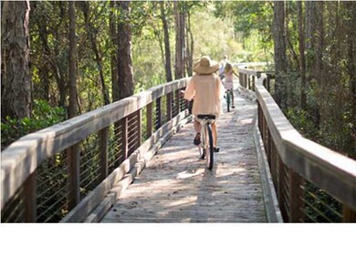 Lot D4 N Near Somerset St, Alys Beach, FL 32461 - photo 6