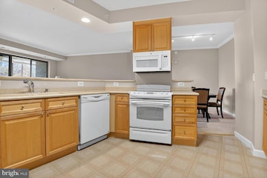 The Riverview at Lansdowne Woods unit 503, Leesburg, VA 20176 - photo 6