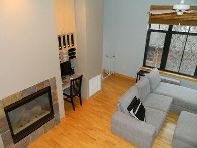 530 W Doty St unit 207, Madison, WI 53703 - photo 4