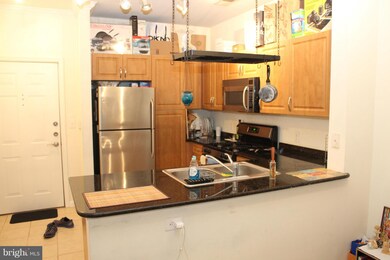 Bryson At Woodland Park unit 122, Herndon, VA 20171 - photo 5