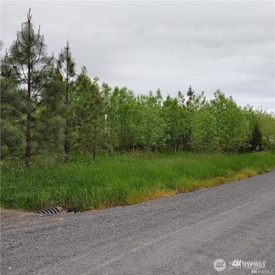 0 Nicholson Rd unit NWM2416744, Toledo, WA 98591 - photo 3